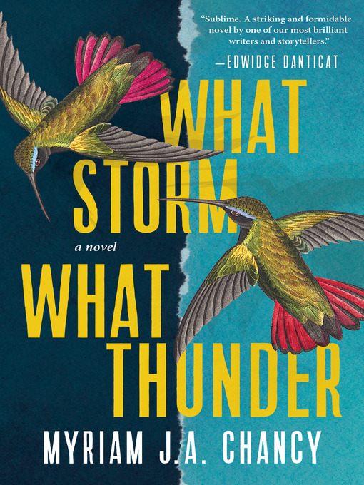 Title details for What Storm, What Thunder by Myriam J.A. Chancy - Wait list